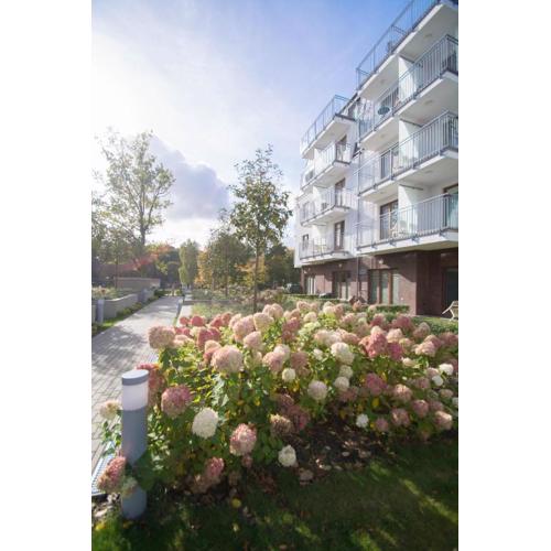 Apartamenty na Wyspie - Aquamarina - Parking