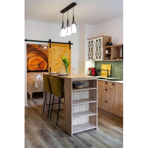 Apartamenty Nad Wisłą - z sauną i blisko centrum - Dream Apart