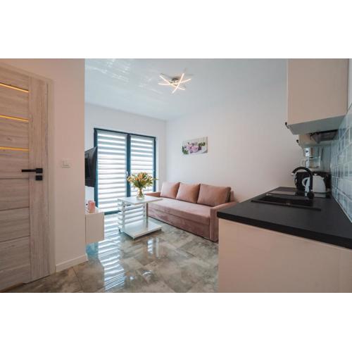 Apartamenty Nadrzeczna nad Wisłą Dream Apart