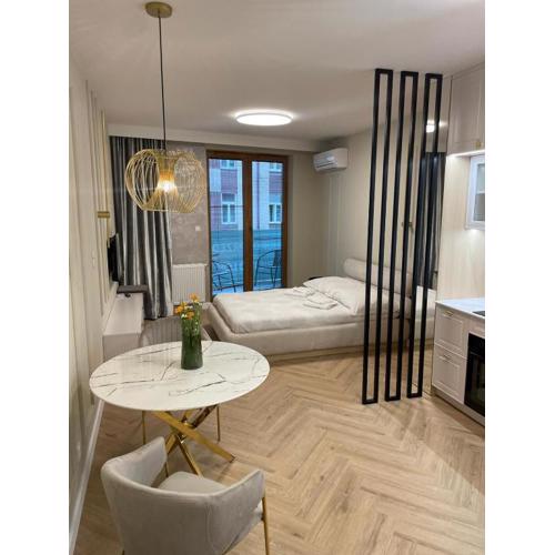 Apartamenty Ogród Saski 13