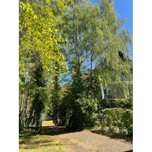 Apartamenty Ogrodowa
