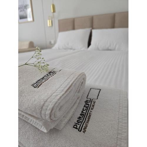 Apartamenty Piekarczyk - Elbląg