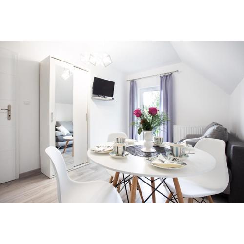 Apartamenty Pod Cisem