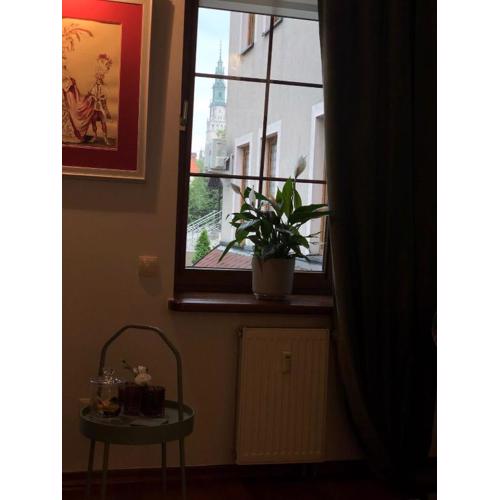 Apartamenty pod Jasną Górą