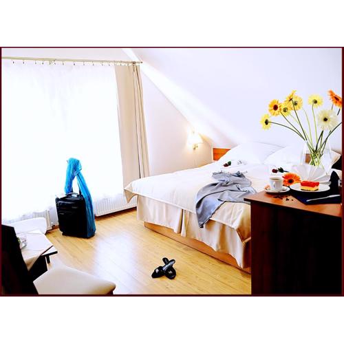 Apartamenty Pod Lwem