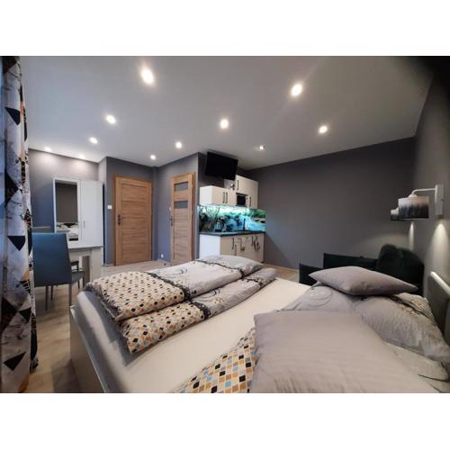 Apartamenty Pokoje Lawenda Wisła