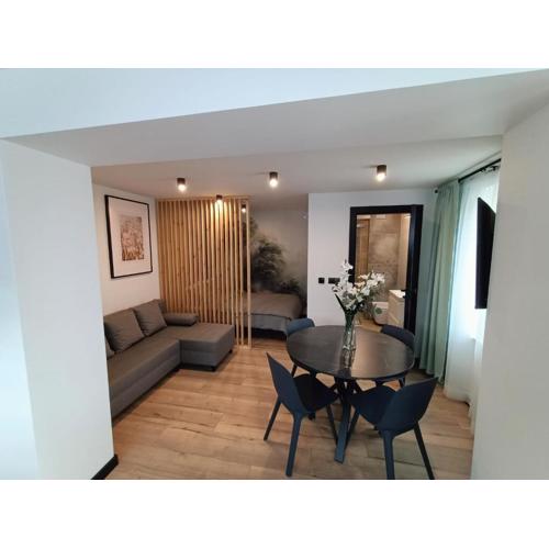 Apartamenty PREMIUM, Faktura VAT, KLIMATYZACJA, AIR CONDITIONING, GROUND FLOOR, PARKING, PARTER, CISZA I SPOKÓJ, QUIET AND PLEASANT, IDEALNY NA ODPOCZYNEK PERFECT FOR REST
