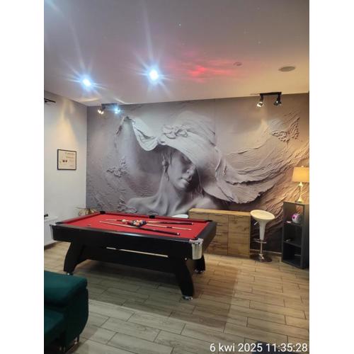 Apartamenty Premium PRETTY WOMAN self check-in 24h - Bytom Chorzów Katowice