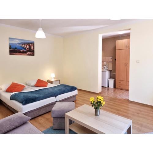 Apartamenty przy Parku Zdrojowym - Darmowy Parking