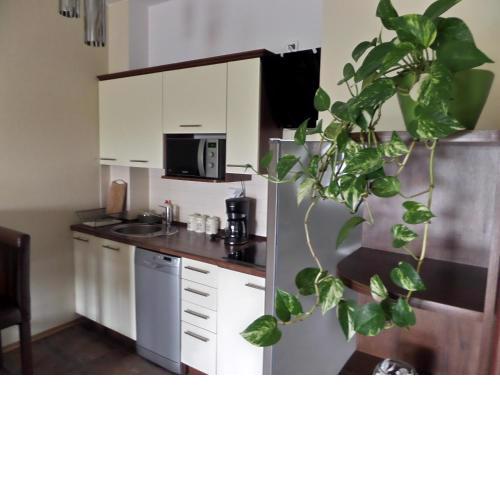Apartamenty Silver Premium