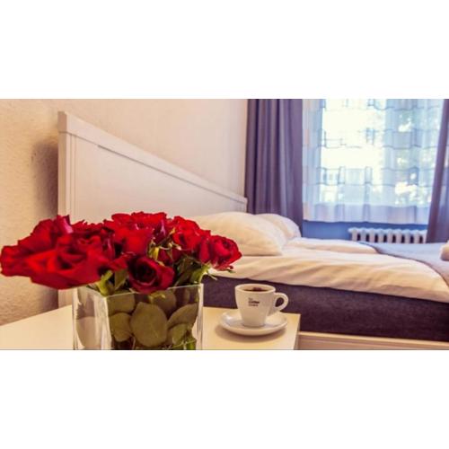 Apartamenty Spodek