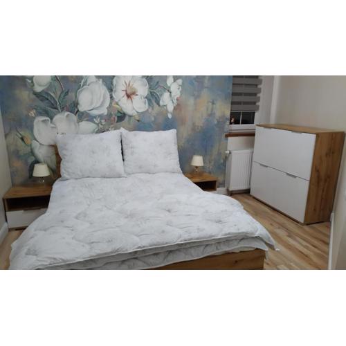 Apartamenty U Iwony Centrum miasta blisko Parku Zdrojowego