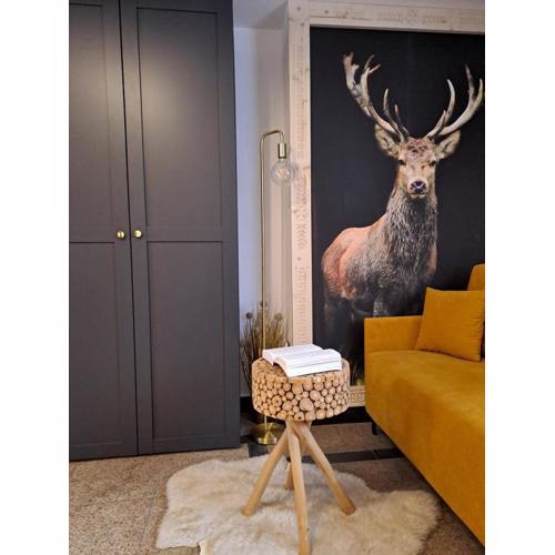 Apartamenty U Paliderki