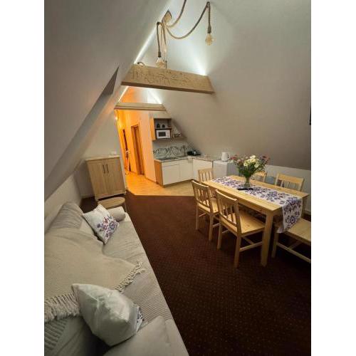 Apartamenty u Symuna