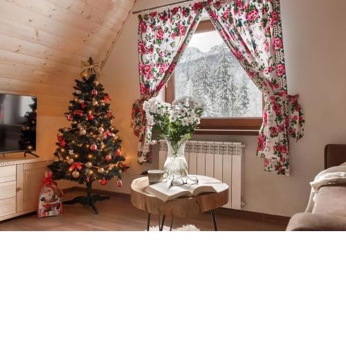 Apartamenty VILLA SKI-BÓWKI