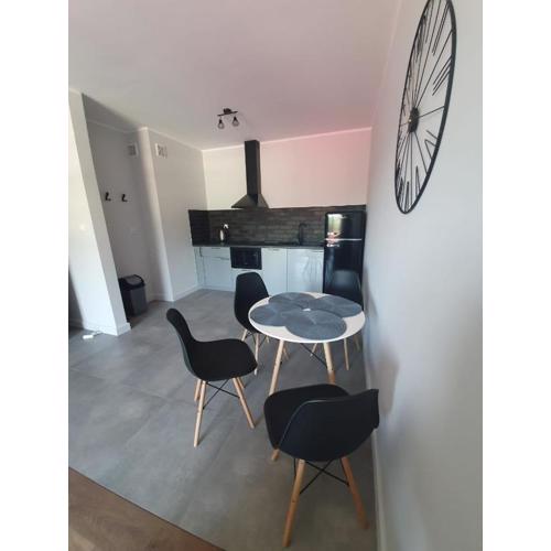 Apartamenty w Bieszczadach
