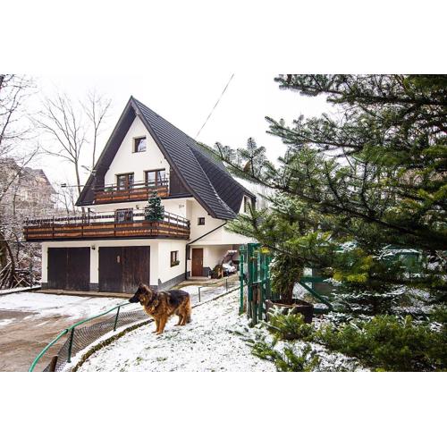 Apartamenty w Centrum - Zakopane