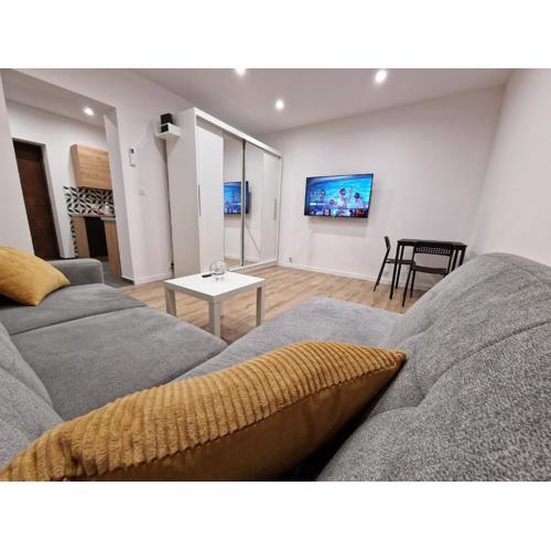 Apartamenty w pełni wyposażone w CENTRUM MIASTA