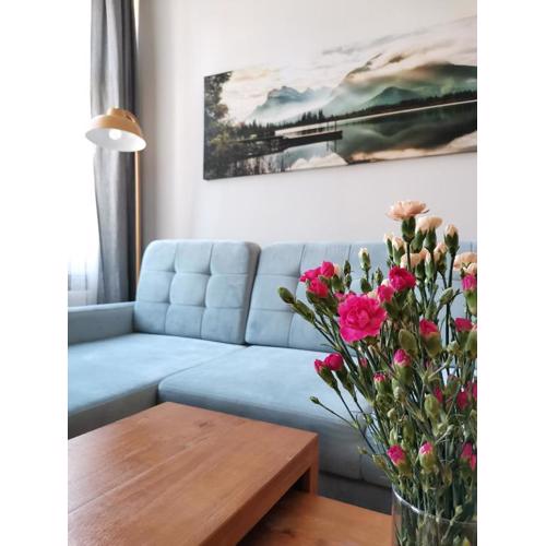 Apartamenty w ścisłym centrum Kupiecka-Drzewna
