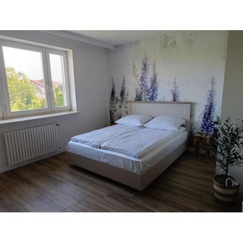 Apartamenty Wilkasy Jezioro Niegocin