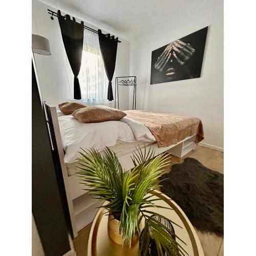 Apartamenty Zielona
