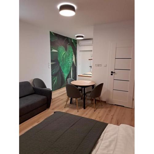 Apartamenty Zielony Liść