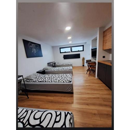 Apartamet typu studio ELEPHANT dla 4 osób
