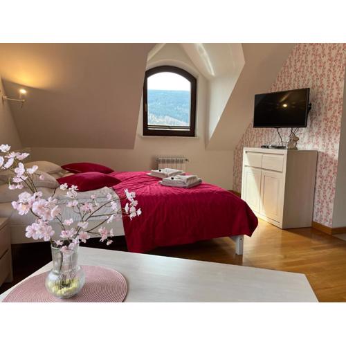 Apartamety i Pokoje Gościnne Na Jaskółczej