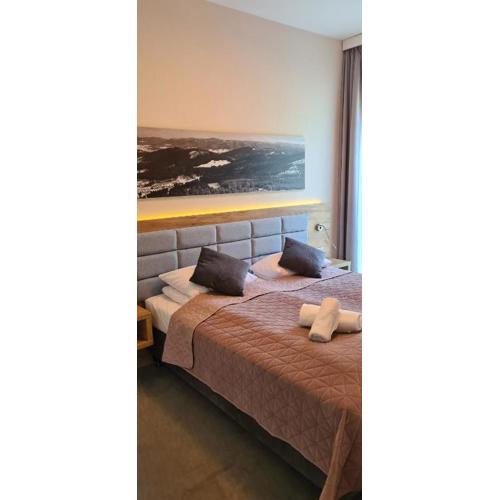 Aparthotel Apartamenty Czarna Góra 205