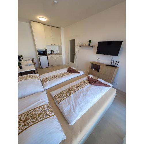 APARTIA Apartment Brno center