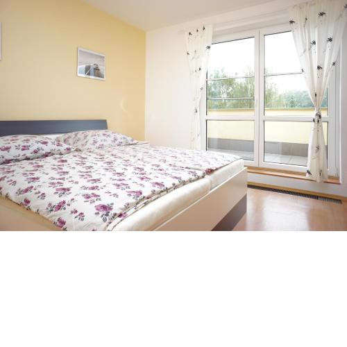 Apartmá Kateřina Velké Losiny