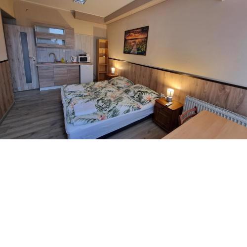 Apartmán 1 Hradná 9