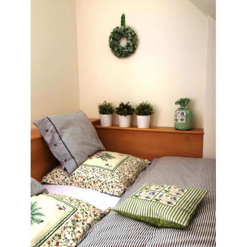 Apartmán 6 u sjezdovek