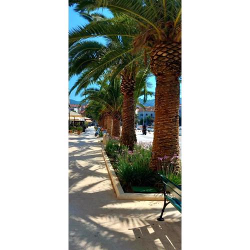 Apartman Ana Lotre