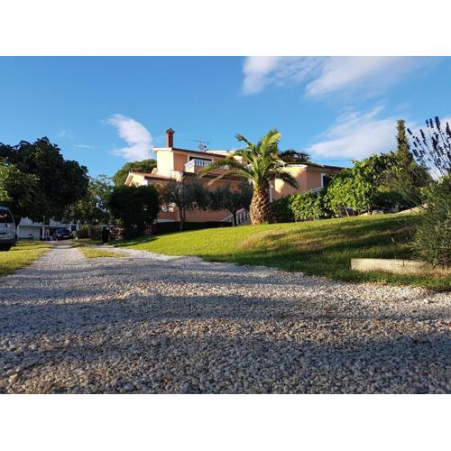 Apartman Andela