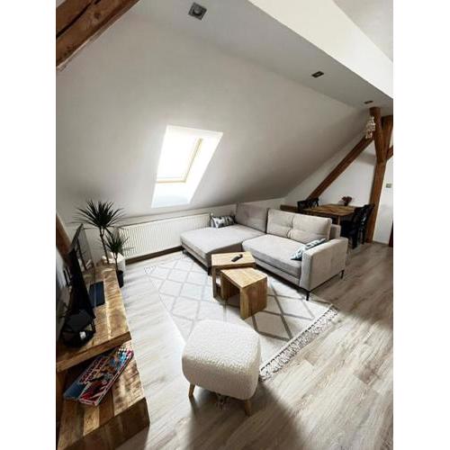 Apartmán Anežka, u Ostravar Arény