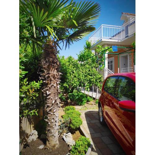 Apartman Antulov Srima