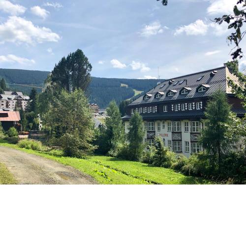 Apartman Bellevue