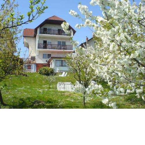 Apartman Berki