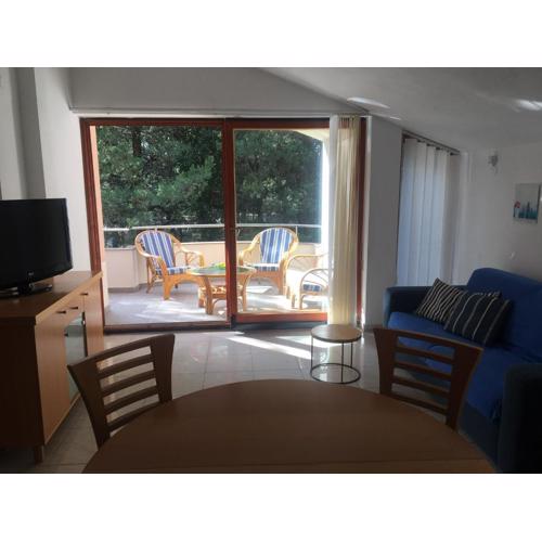 Apartman Biograd