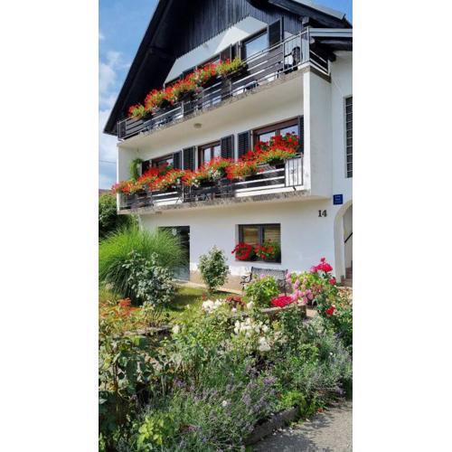 Apartman Bosco