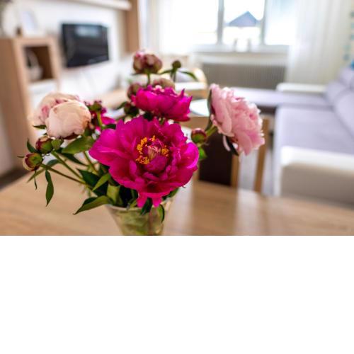 Apartman Breza