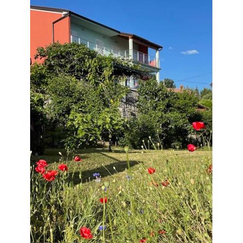 Apartman Danica