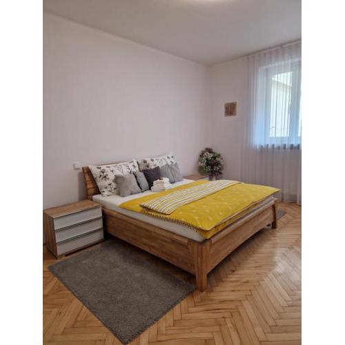 Apartmán Dlouhá 207