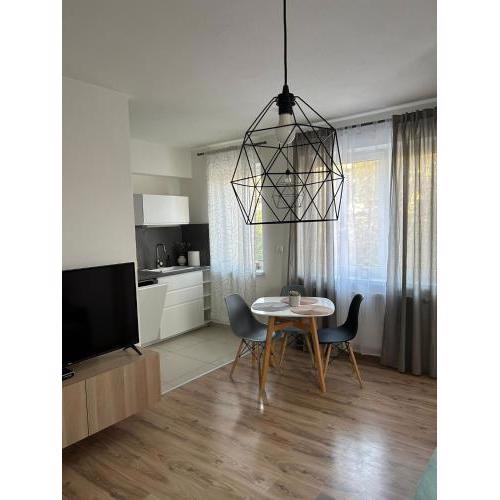 Apartmán "DUNAJ" private parking