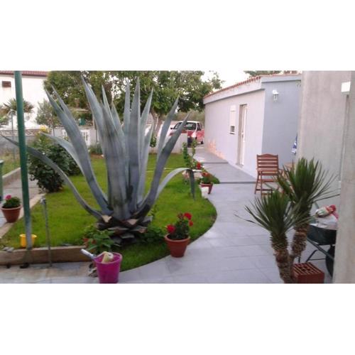 Apartman Ella