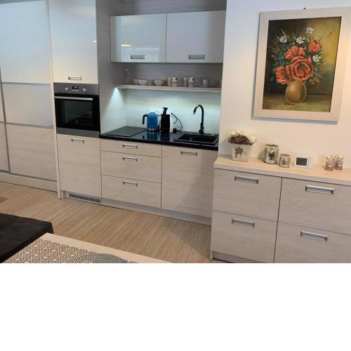 Apartmán Filipovice s letní terasou