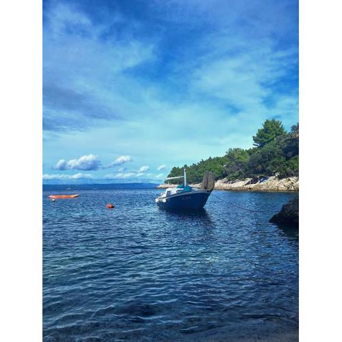 Apartman Fortunal