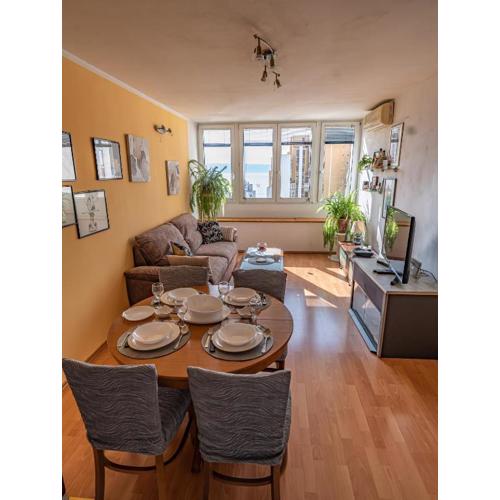 Apartman Gogina