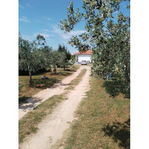 Apartman Grbić